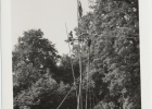 Photos d'archives / années 1940-50