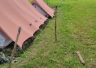 Camp d'été Troupe 2024 - Grolley