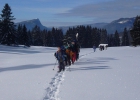 weekend igloo 2012