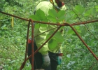 Camp d'été à Muriaux 2014 (Troupe)