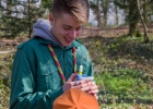 Journée nationale du scoutisme