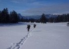 weekend igloo 2012