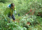 Camp d'été à Muriaux 2014 (Troupe)