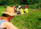Camp été meute 2013
