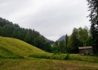 Camp d'été à Vuppens (Troupe)