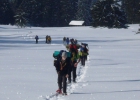weekend igloo 2012
