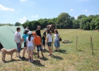 Camp d'été 2016 à Arlay (France)