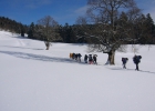 weekend igloo 2012
