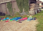 Camp été 2017 - Meute