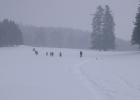 weekend igloo 2012
