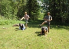 Camp d'été 2015 à Vers l'Eglise - Troupe