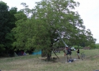 Camp d'été 2016 à Arlay (France)