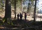Journée forêt