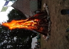 Camp meute 2020