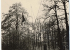 Photos d'archives / années 1940-50