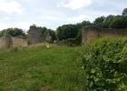 Camp d'été 2016 à Arlay (France)