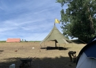Camp d'été Troupe 2024 - Grolley