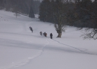 weekend igloo 2012