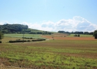 Camp d'été 2016 à Arlay (France)