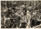 Photos d'archives / années 1940-50