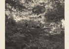 Photos d'archives / années 1940-50