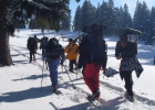 weekend igloo 2012