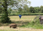 Camp d'été 2016 à Arlay (France)