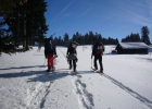 weekend igloo 2012