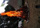 Camp meute 2020