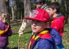 Journée nationale du scoutisme