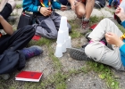 Camp meute 2020
