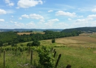 Camp d'été 2016 à Arlay (France)