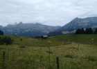 Camp d'été aux Diablerets - Meute