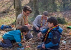 Journée nationale du scoutisme