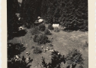 Photos d'archives / années 1940-50