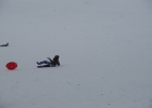 Journée neige