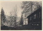 Photos d'archives / années 1940-50