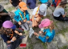 Camp meute 2020