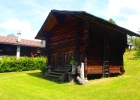 Camp d'été aux Diablerets - Meute