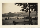 Photos d'archives / années 1940-50