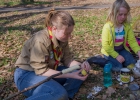 Journée nationale du scoutisme