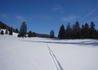 weekend igloo 2012