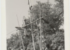 Photos d'archives / années 1940-50