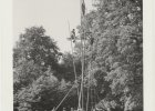 Photos d'archives / années 1940-50