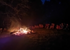 Camp meute 2020