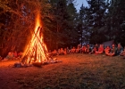 Camp meute 2020