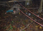 Séance du 22 novembre 2014
