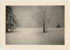 Photos d'archives / années 1940-50