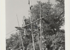 Photos d'archives / années 1940-50