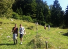 Camp d'été à Muriaux 2014 (Troupe)